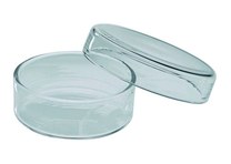 Petricsésze Petricsésze